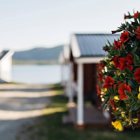 Skoganvarre Villmark Bagian luar foto