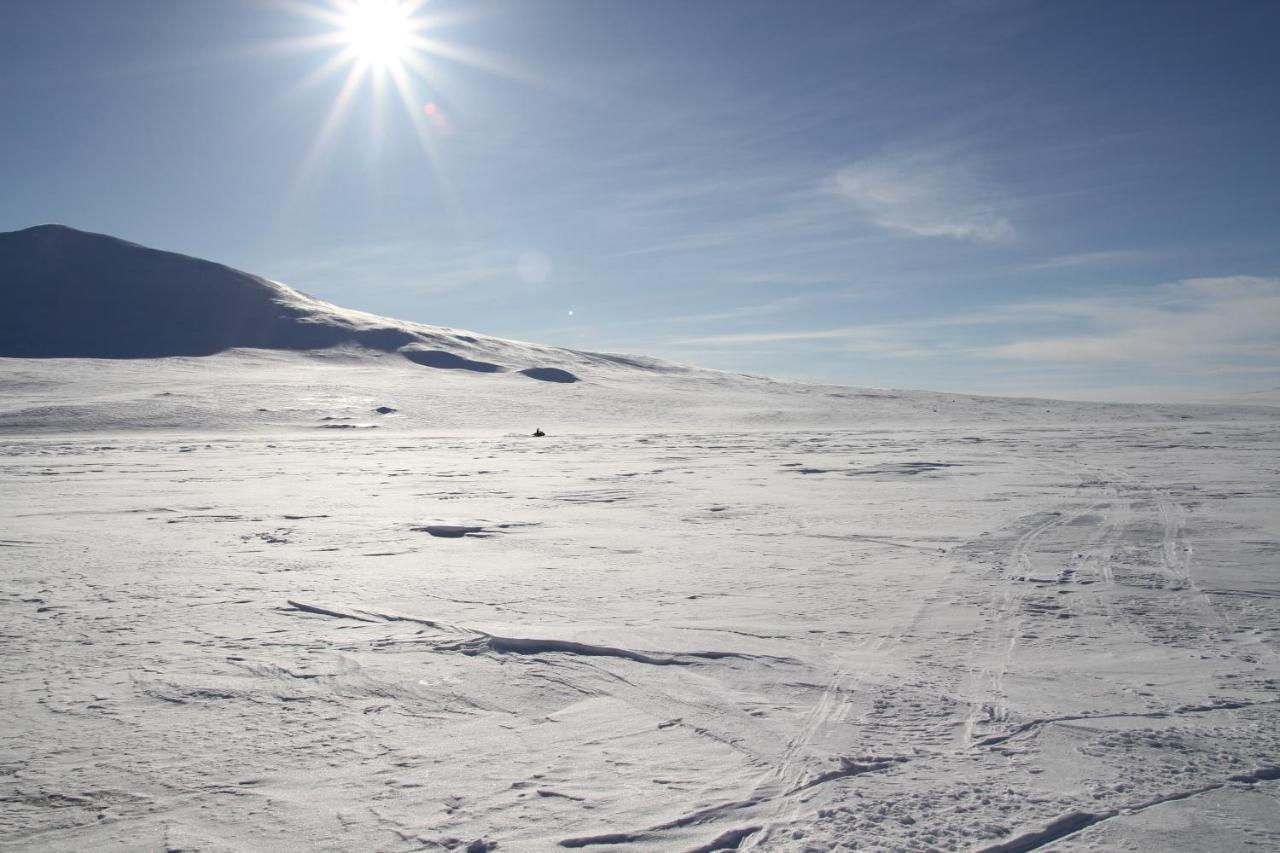 Skoganvarre Villmark Bagian luar foto