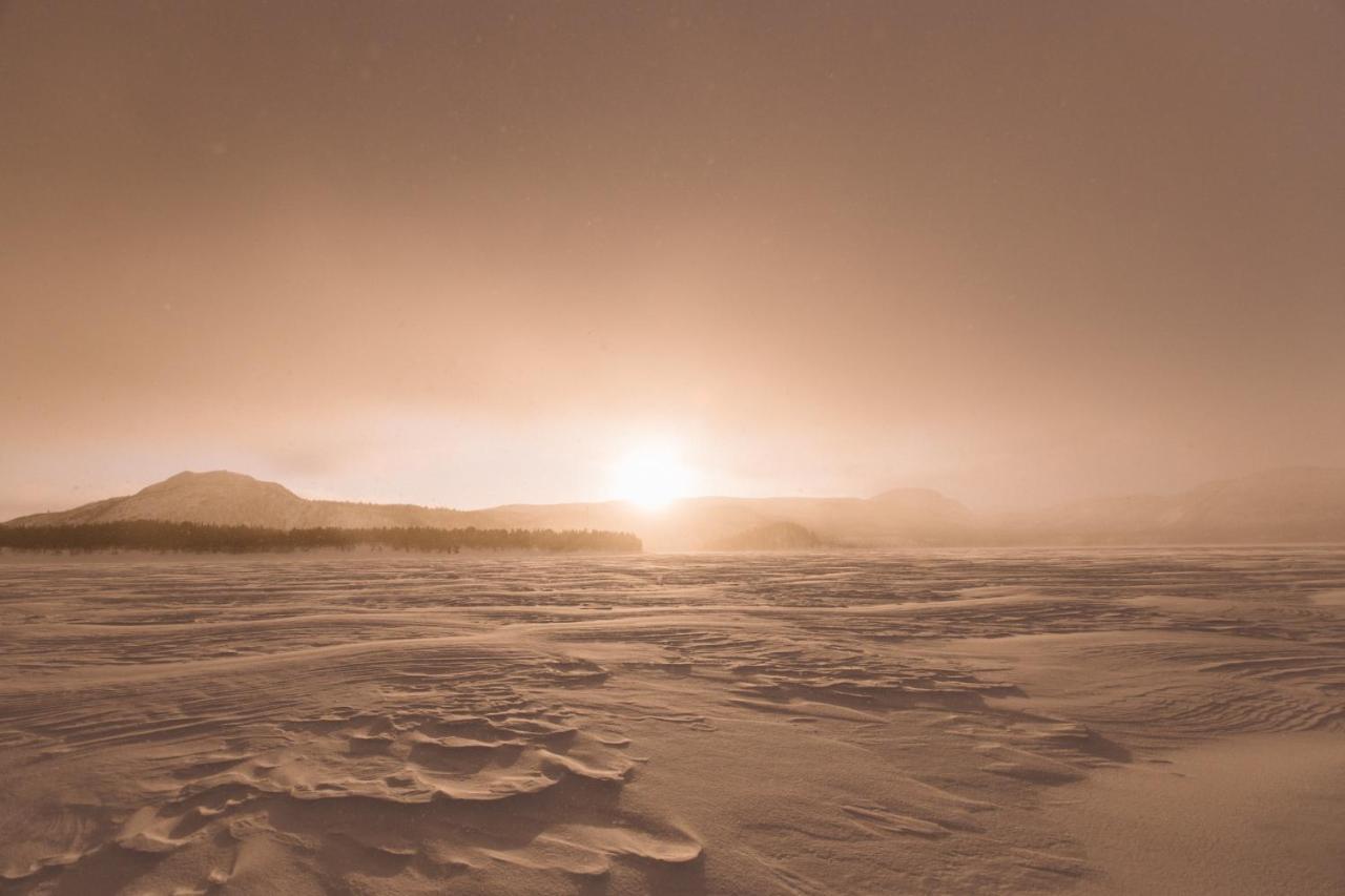 Skoganvarre Villmark Bagian luar foto