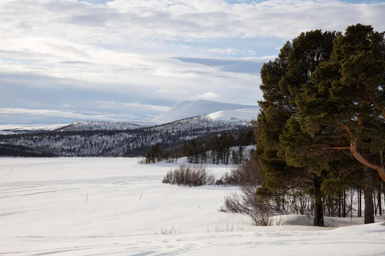 Skoganvarre Villmark Bagian luar foto