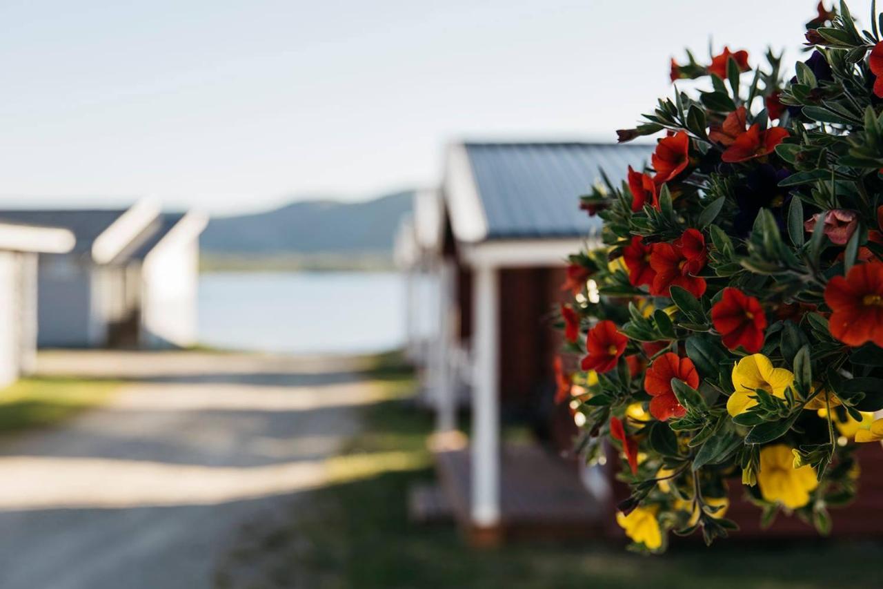 Skoganvarre Villmark Bagian luar foto